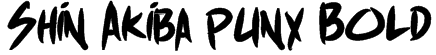 Shin Akiba punx