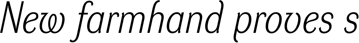 DynaGrotesk LM Italic